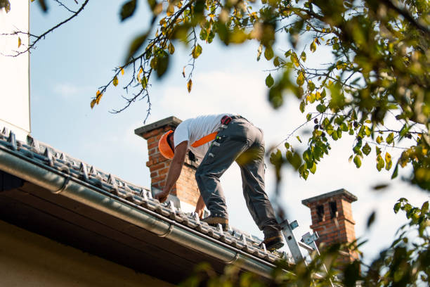 Best Chimney Flashing Repair  in Rome City, IN