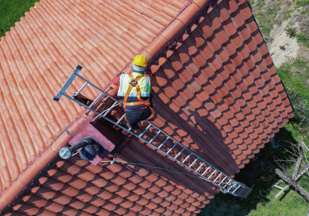 Best Asphalt Shingle Roofing  in Rome City, IN